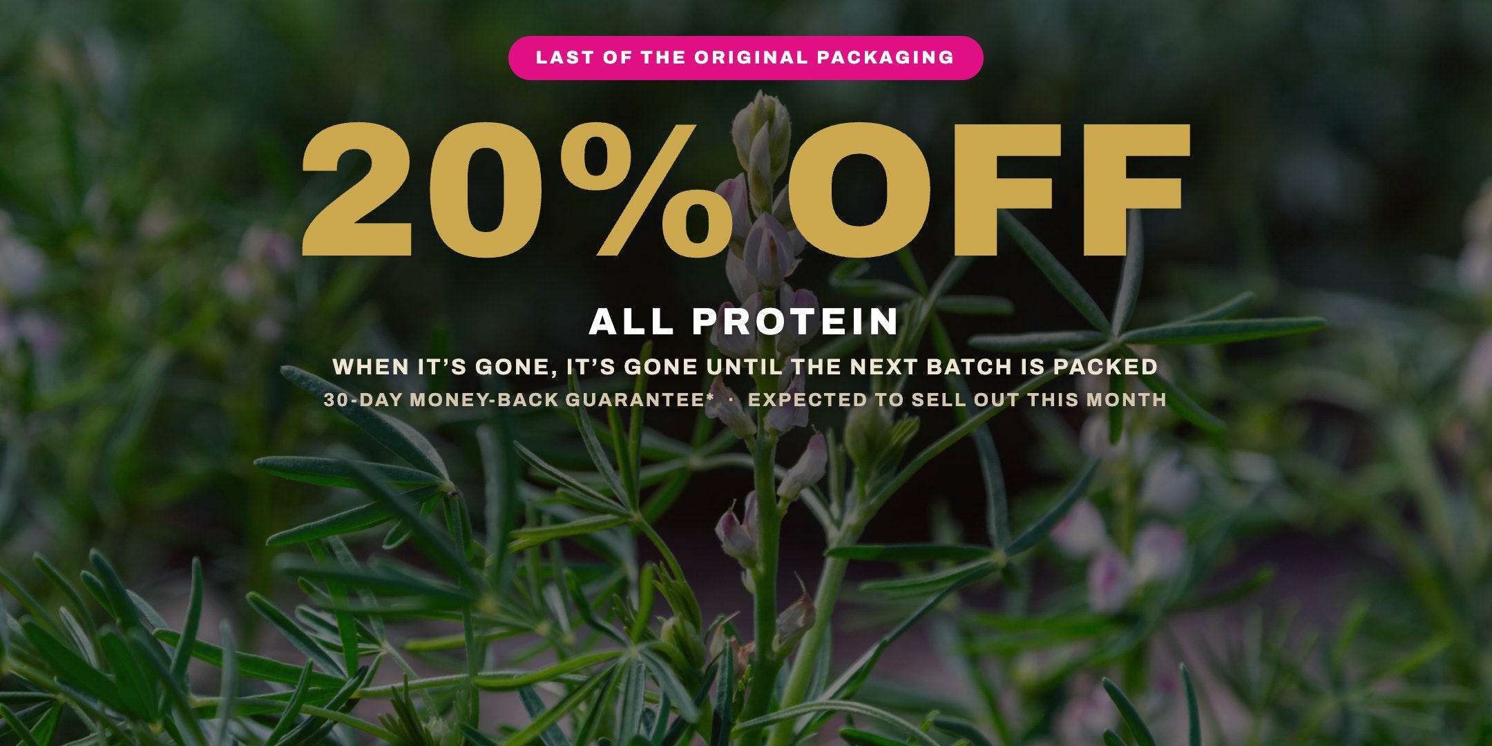 20% off all Lupin Gold protein - lupin plant
